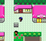 Pokemon XY: Naturia (GBC) Download - PokéHarbor